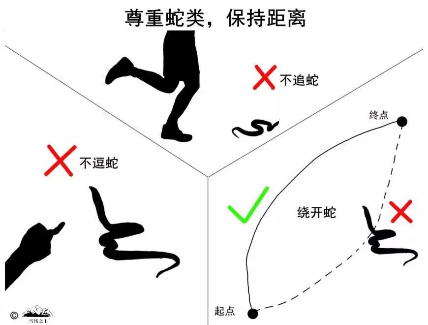 可怕！东莞多个小区公园有毒蛇出没！这7个镇街的街坊要小心！