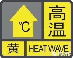 紧急！台风“白鹿”刚刚生成！直指广东！东莞人挺住！