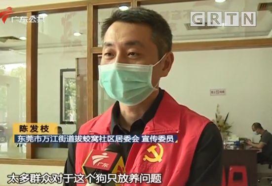 东莞一居委会发通知杀狗，宠物也有感染新冠肺炎风险？官方回应来了！