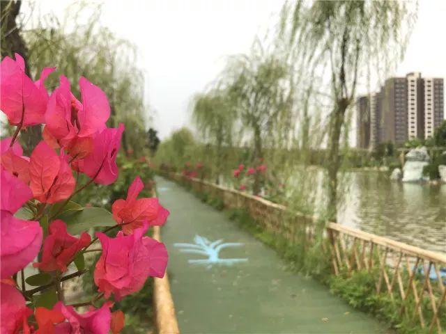 东莞最新网红休闲胜地~12.8元抢东江印象生态园观光票，海上丝路长廊、印象风车、孔雀观赏····休闲假日！秋游拍摄~共度欢乐时光