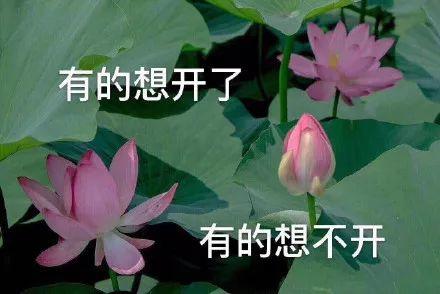 一夜之间，全国所有的家长群都在吐槽这位"戏精妈妈"……