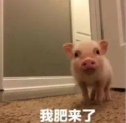 “我们回家了！”东莞医护人员哭了！东莞人盼了好久！