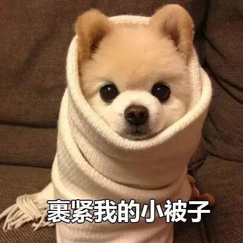 下半年来最强冷空气来了！东莞周末最低气温竟只有......