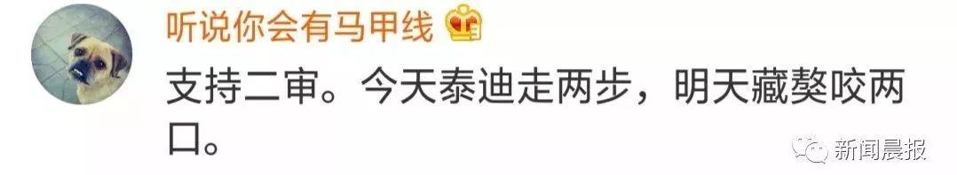 泰迪没吼也没咬，这位狗主人却赔了20万！只因这件事情没做好…