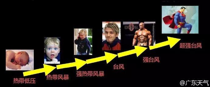注意！台风胚胎预计今日生成，东莞多地将会有暴雨+8级大风！