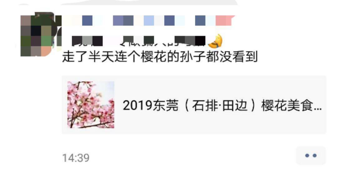刷爆朋友圈的石排樱花美食节，你去了吗？网友到现场发现…