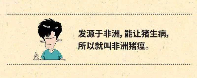 朋友圈里的“猪瘟”请刹车！权威消息来了！东莞人可以放心啦！