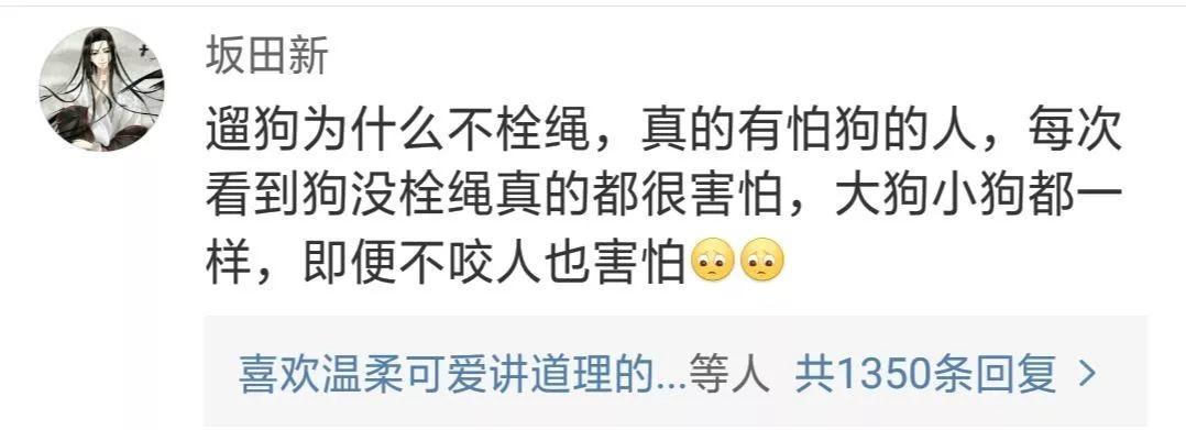 泰迪没吼也没咬，这位狗主人却赔了20万！只因这件事情没做好…