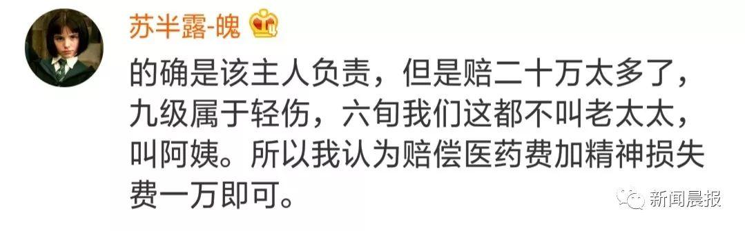 泰迪没吼也没咬，这位狗主人却赔了20万！只因这件事情没做好…