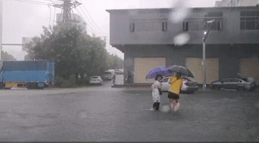 紧急！11号、12号台风将生成！未来几天10级大风+雷暴雨+38度开水套餐来袭！