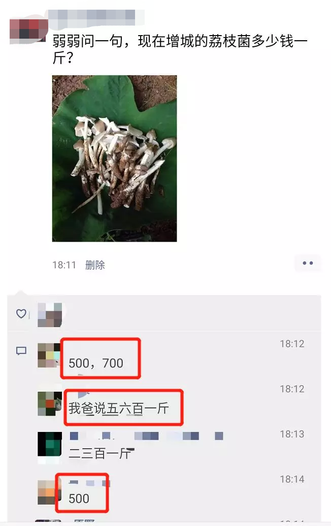 卖成700元/斤！最近很多东莞人连夜去找它！你吃过没？