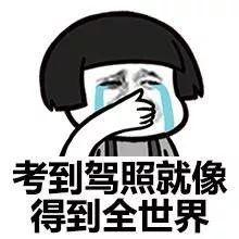 再见了，驾驶证！央视传来大消息，以后可能不用考！
