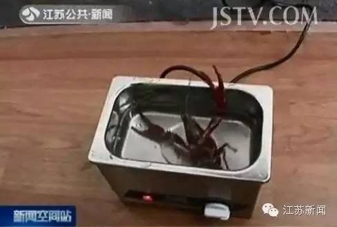 不要再吃这样的了，全是虫！快告诉家人！