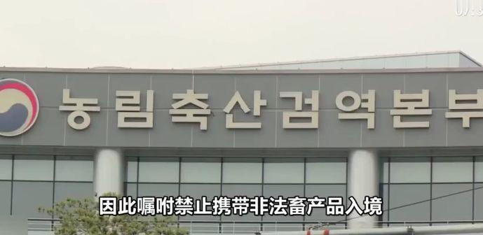 东莞人注意！中国游客入境被罚500万！只因带了这东西...