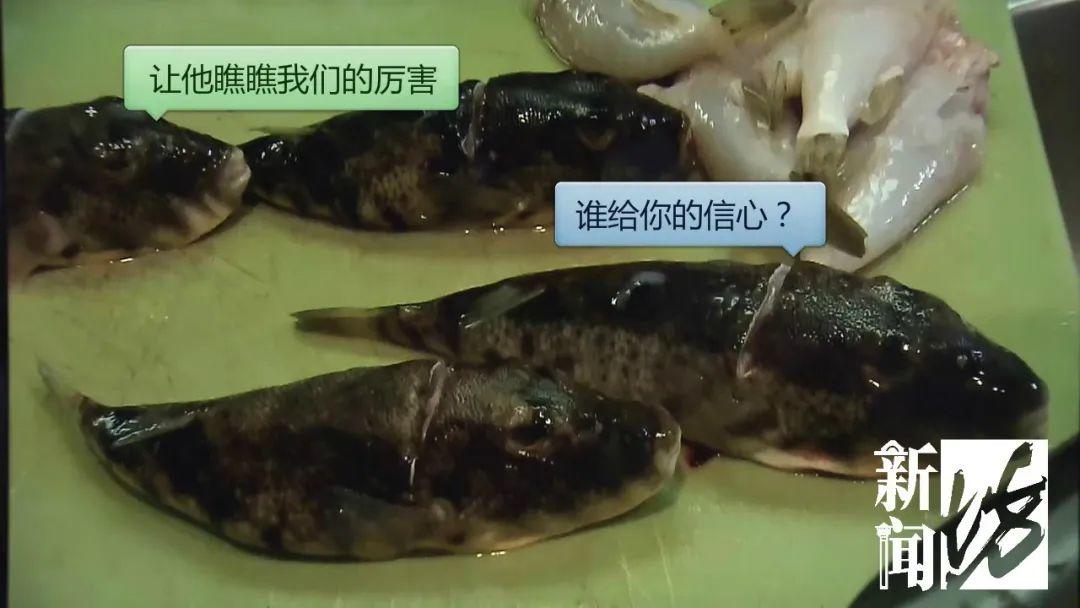 剧毒，别乱吃！男子冒死吃这种鱼后变成植物人！广东已有人因它而丧命！