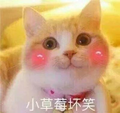 台风年底"冲业绩"! 东莞将迎来13级大风＋降雨+冷空气三重暴击! 更让人抓狂的是.......