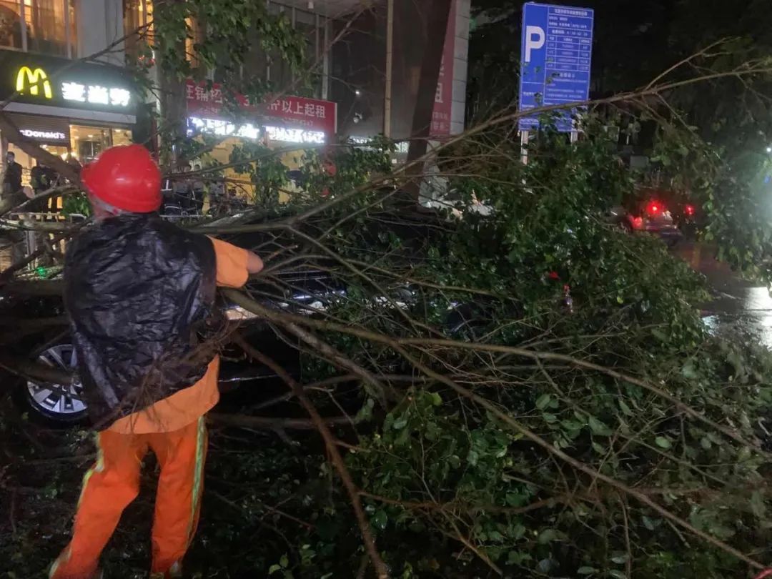 突发! 东莞昨晚狂风雷暴雨的4小时, 有人被大树压着, 有人被困, 有人......