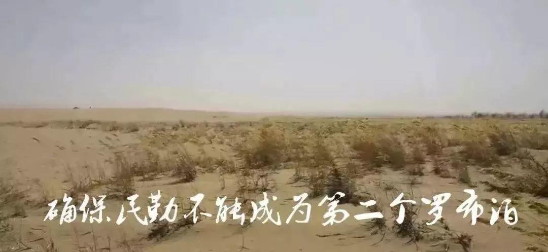甜了你的嘴，暖了瓜农的心！守护沙漠民勤蜜瓜，29.9元包邮！