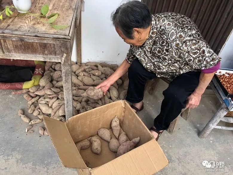 “国庆返程的行李箱”又上热搜，最后一个亮了！