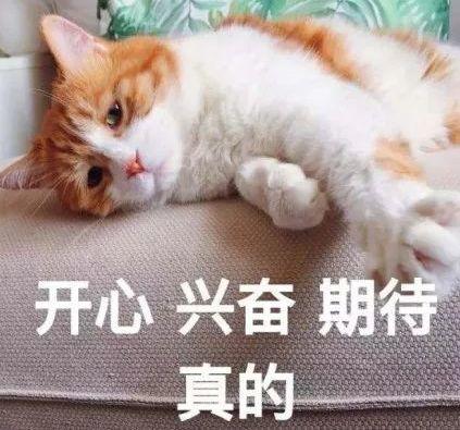 冷空气已发货！最低气温14℃，东莞人挺住，接下来的日子难熬了...