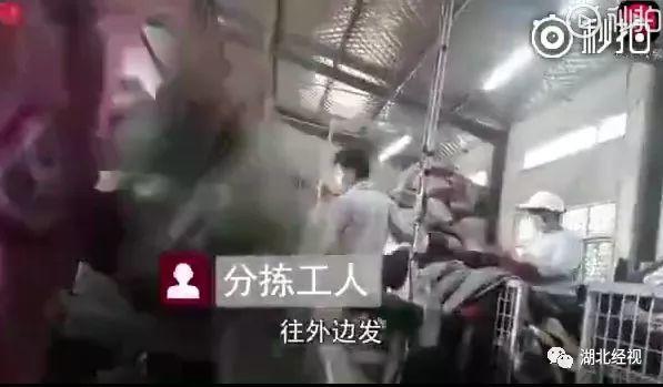 震惊！你捐的衣服哪里去了？