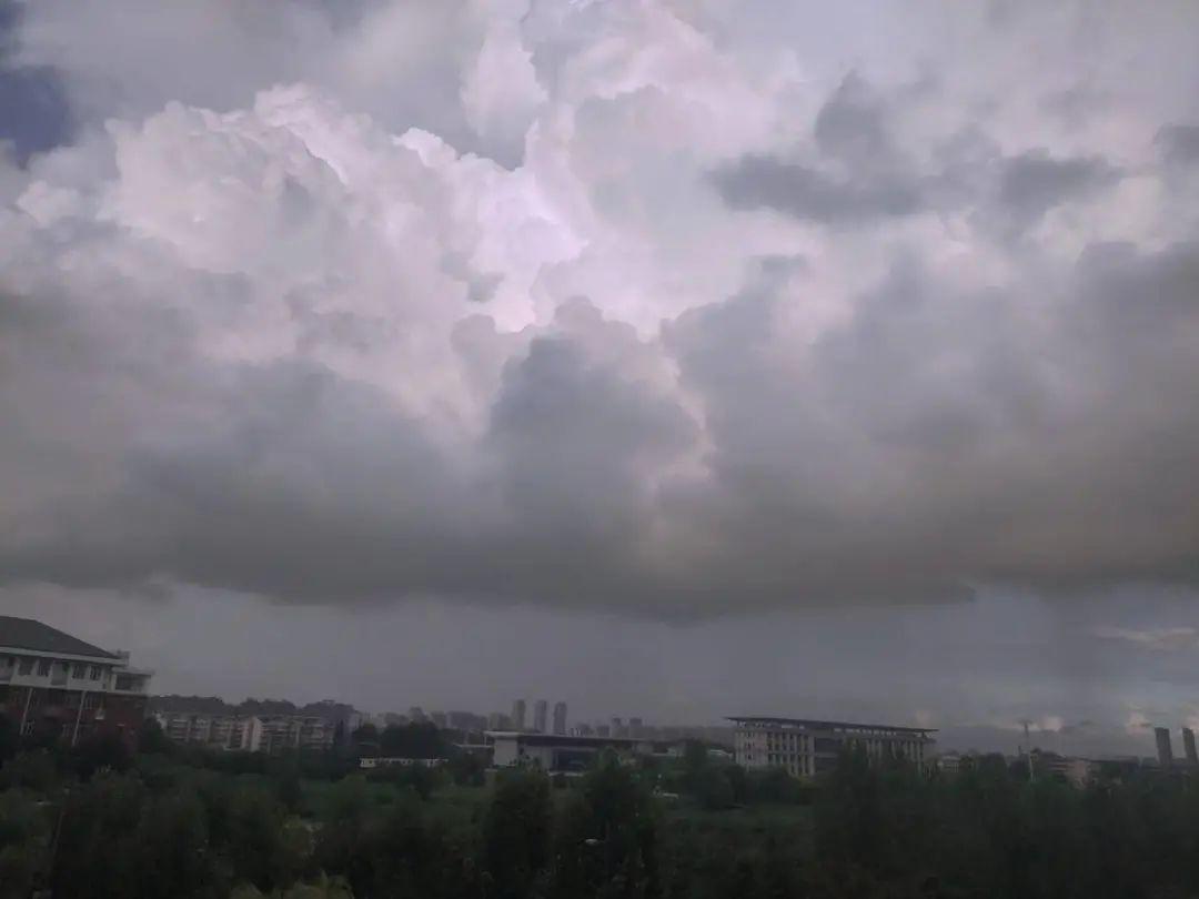 紧急！3号台风即将登陆！东莞正式上线大风大雨套餐！