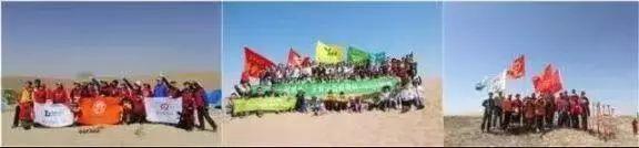 甜了你的嘴，暖了瓜农的心！守护沙漠民勤蜜瓜，29.9元包邮！