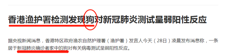 东莞一居委会发通知杀狗，宠物也有感染新冠肺炎风险？官方回应来了！