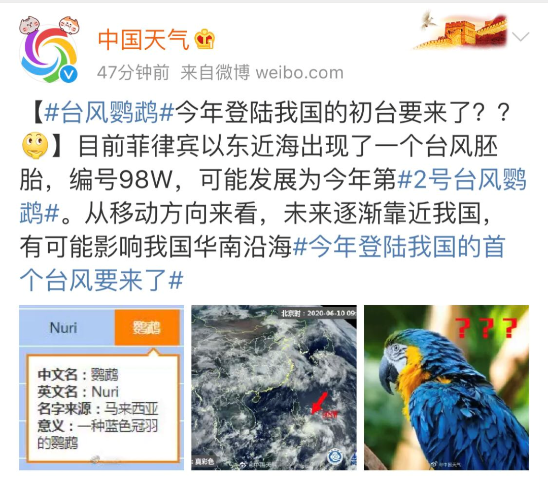 突发！台风要来了！或登陆我国！东莞天气……