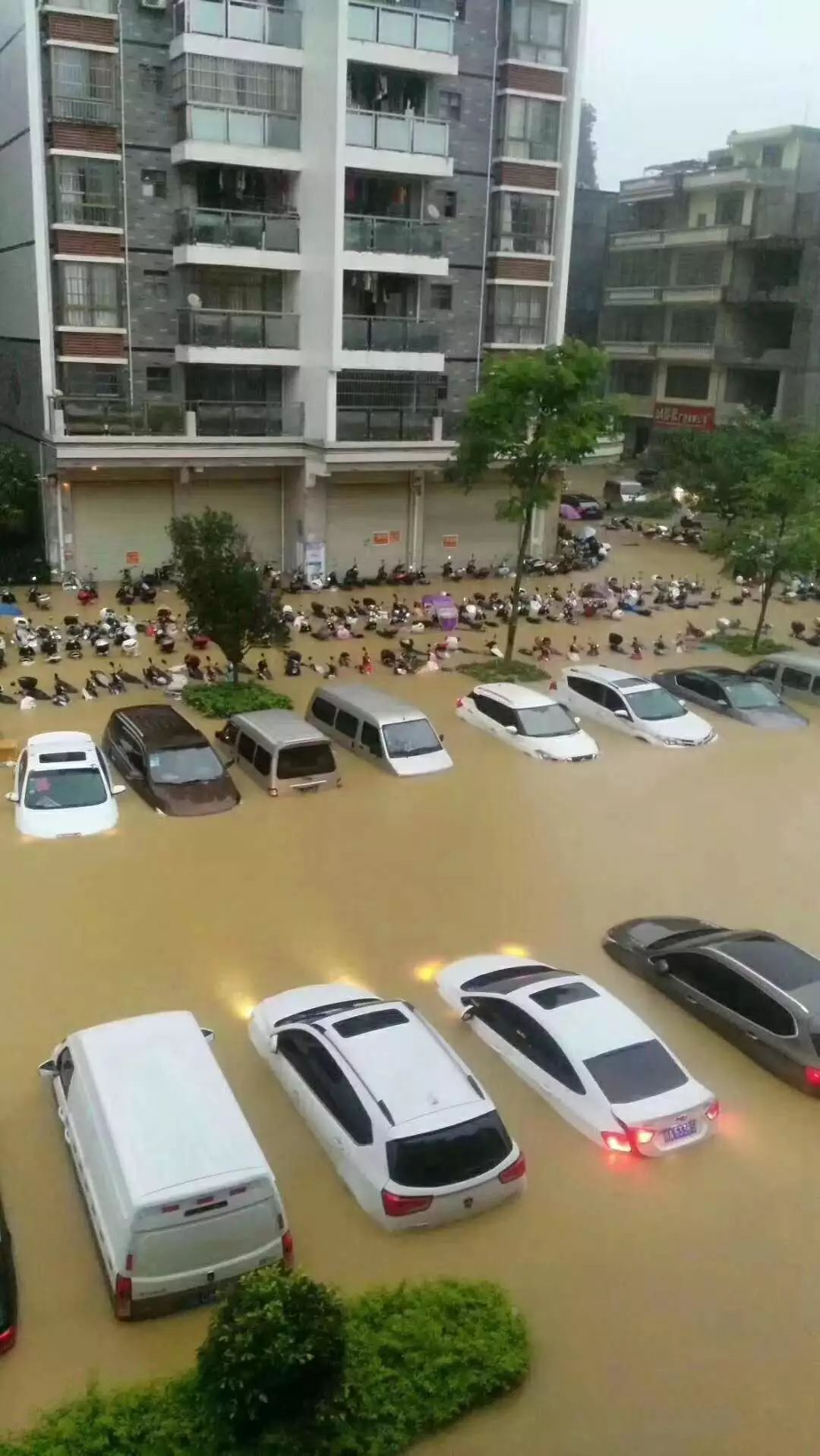 可怕！今早东莞多地严重水浸！未来几天将发生暴雨到大暴雨+8级大风.........