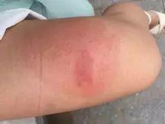 吓哭！太多多多……了！最近东莞人被吓得不敢开灯，只因它们又来轰炸了！