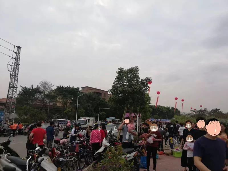 刷爆朋友圈的石排樱花美食节，你去了吗？网友到现场发现…