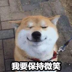 定了！东莞养狗的人注意了！未登记罚款2000元！