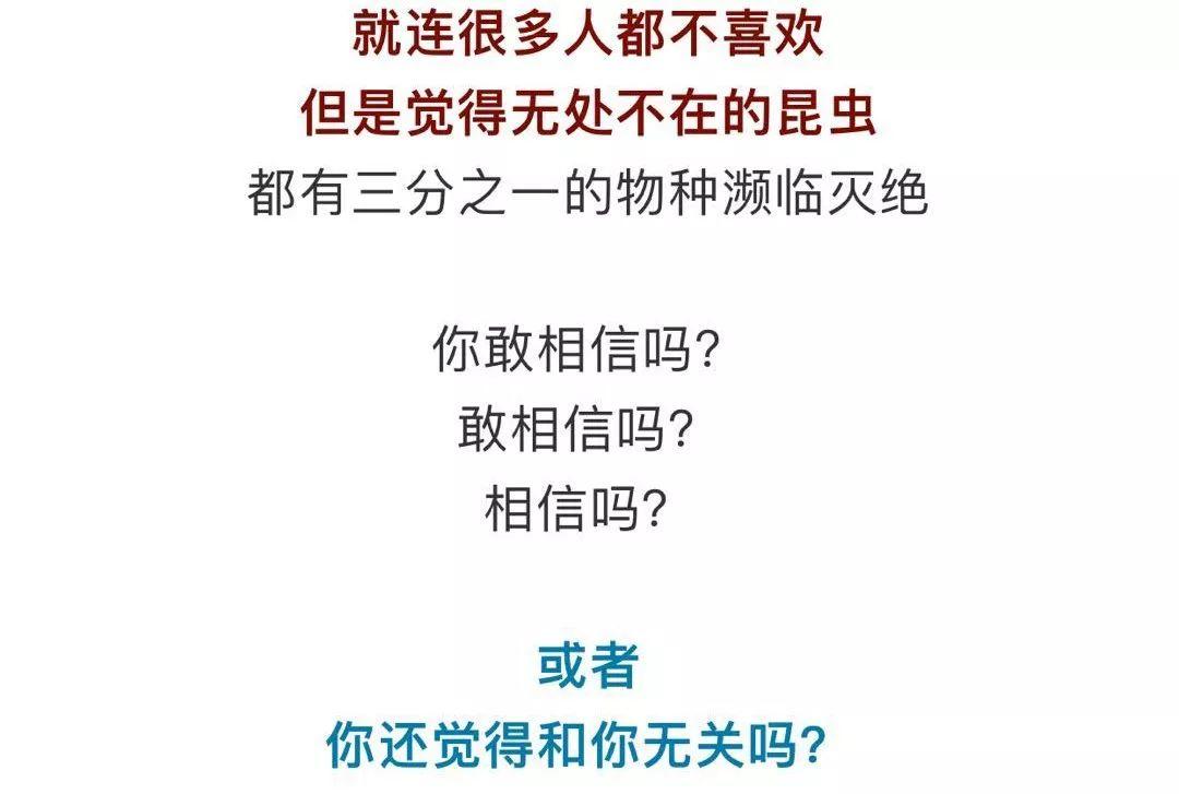 对不起，吓到大家了！