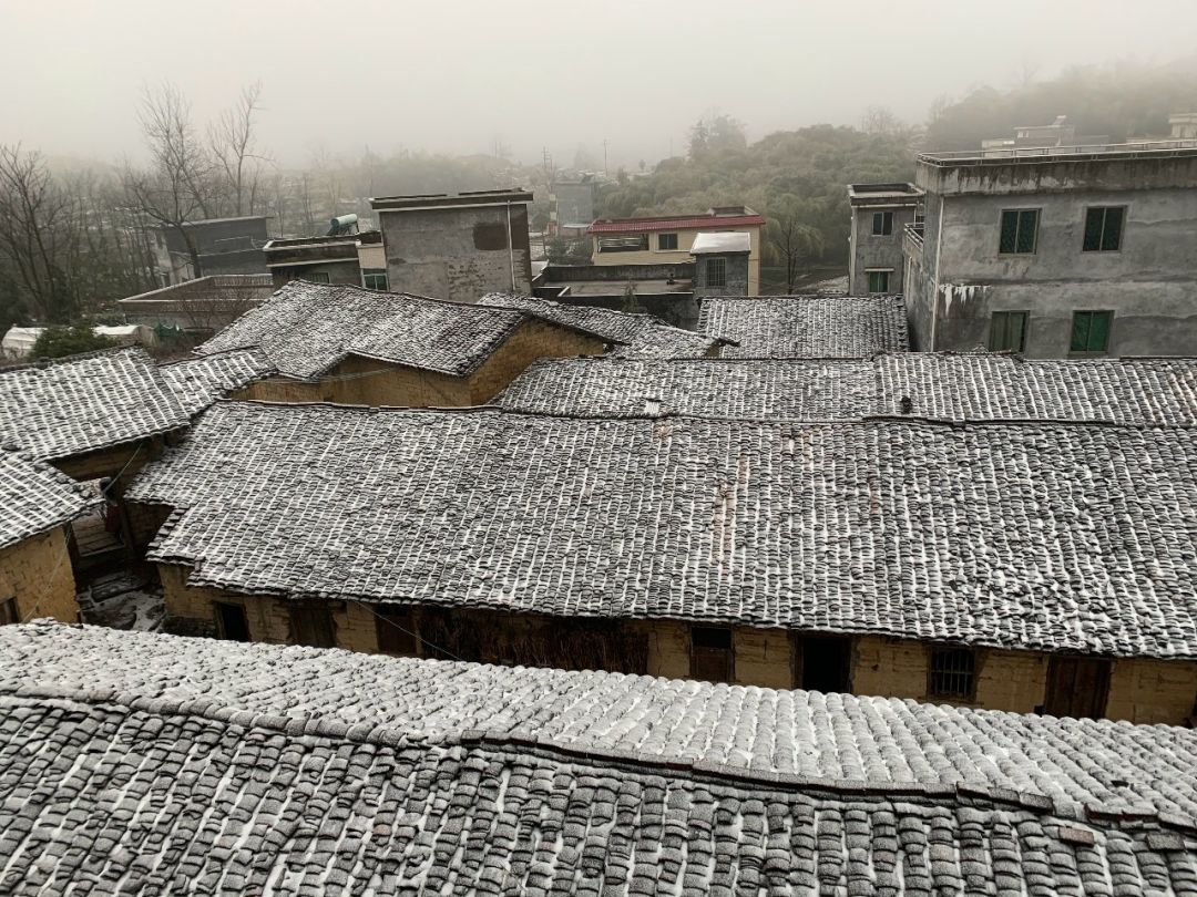 下雪了！2020年广东第一场寒流杀到！未来几天，东莞将会…