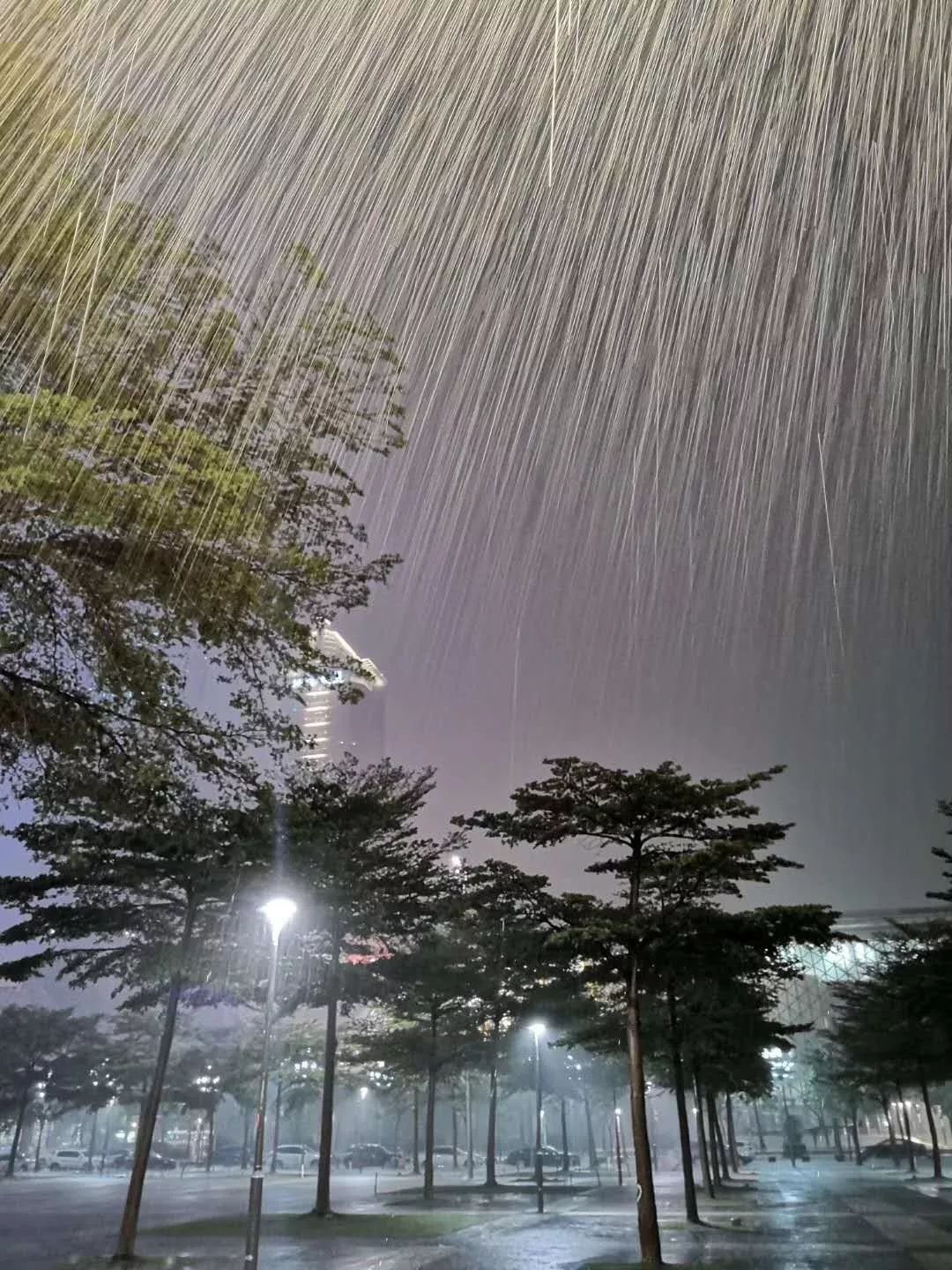 东莞台风预警升级！预计今晚登陆！9级大风+大暴雨！