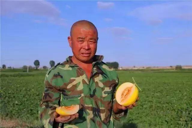 甜了你的嘴，暖了瓜农的心！守护沙漠民勤蜜瓜，29.9元包邮！