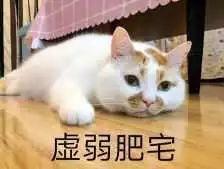 心酸！东莞第一批“穷人”名单新鲜出炉...肯定有你认识的！