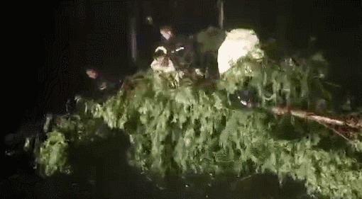 6级风王“利奇马”已致18人遇难！14人失联！刚刚！东莞暴雨橙色预警生效…"