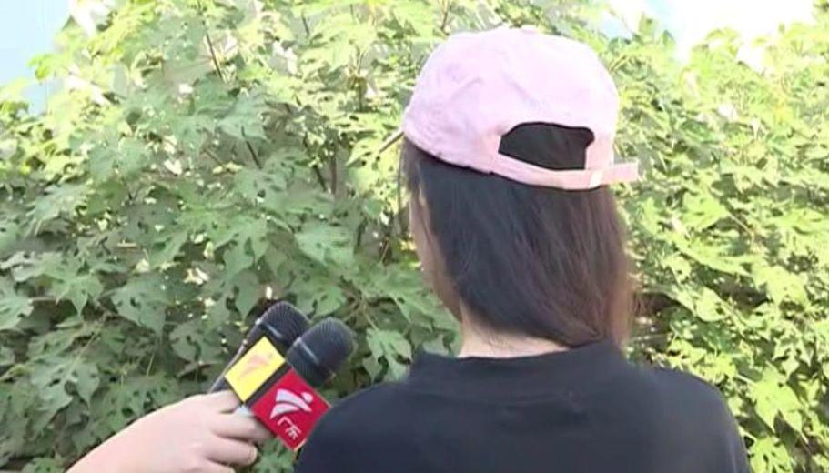 真不想打马赛克！26岁小伙地铁裸露下身猥亵女乘客，更可气的是…