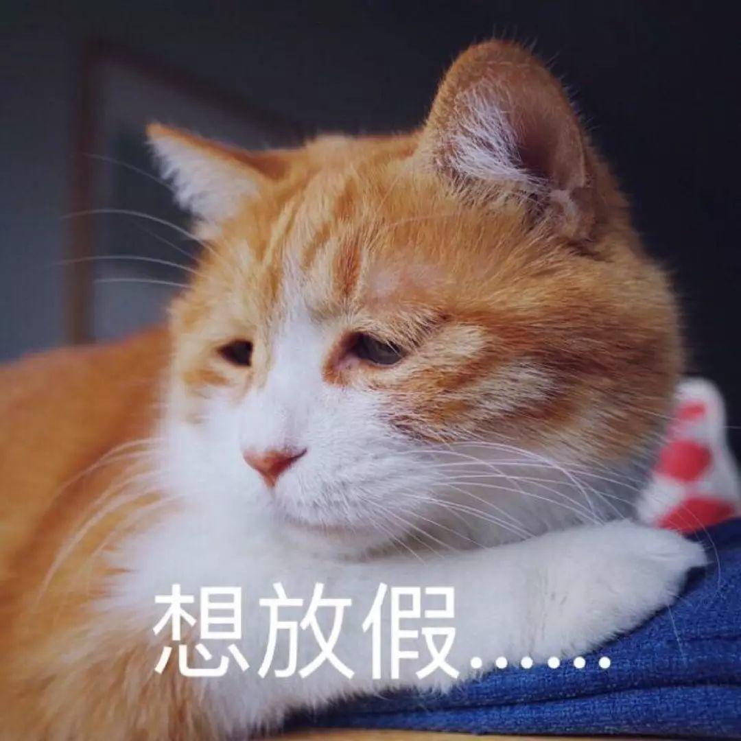 月新规来了！看到第一条就超兴奋！"