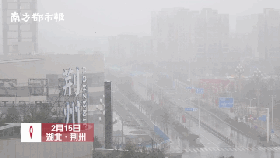 下雪了！2020年广东第一场寒流杀到！未来几天，东莞将会…
