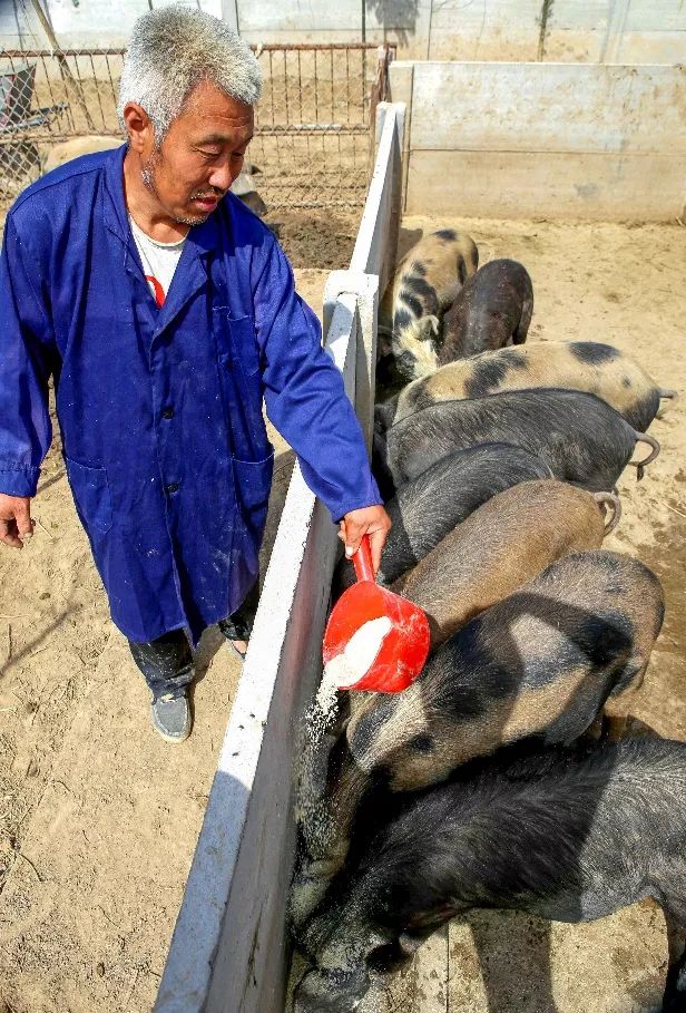猪肉一天一个价！东莞人别慌，中央出手了！