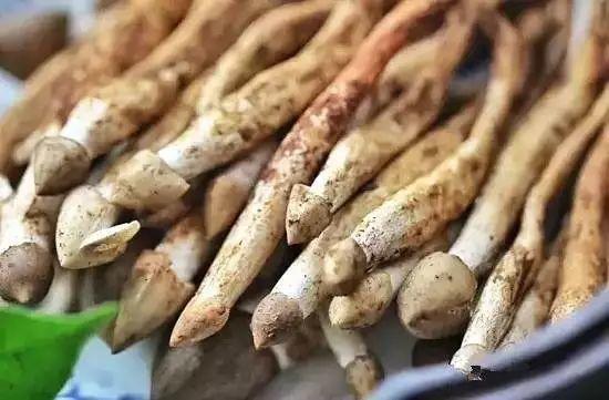 卖成700元/斤！最近很多东莞人连夜去找它！你吃过没？