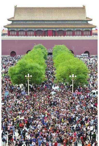 号台风黄蜂要来？假期要泡汤？东莞人“五一”怎么办？"