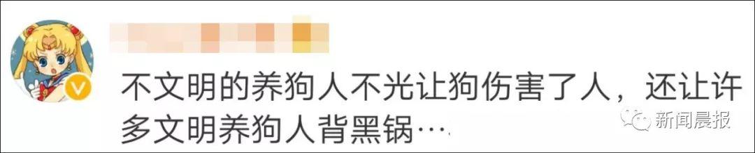 女子遛3只狗不牵绳！男子遭狗撕咬受伤严重，缝了30多针