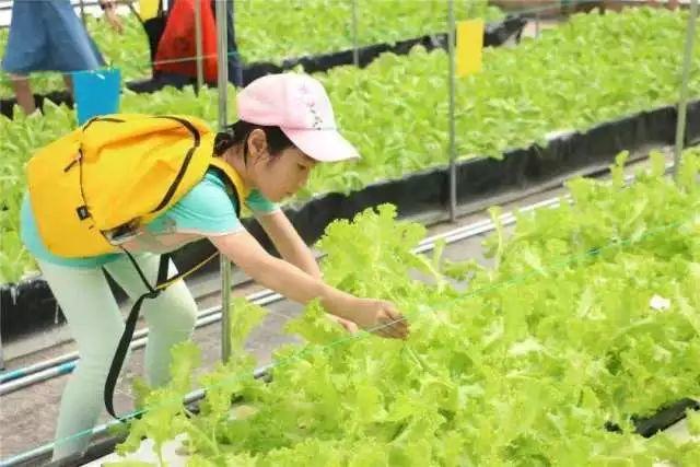东莞最新网红休闲胜地~12.8元抢东江印象生态园观光票，海上丝路长廊、印象风车、孔雀观赏····休闲假日！秋游拍摄~共度欢乐时光