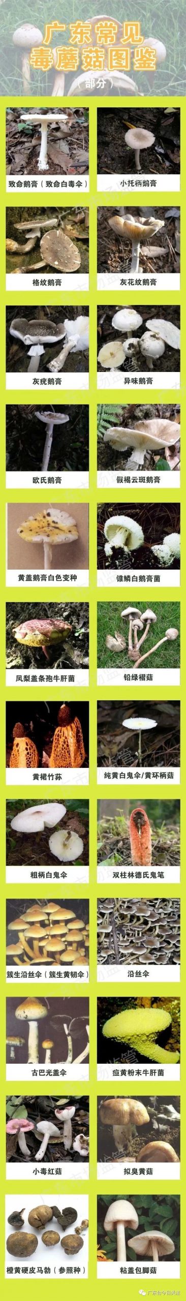 35人发病，3人死亡！多地疾控紧急提醒"