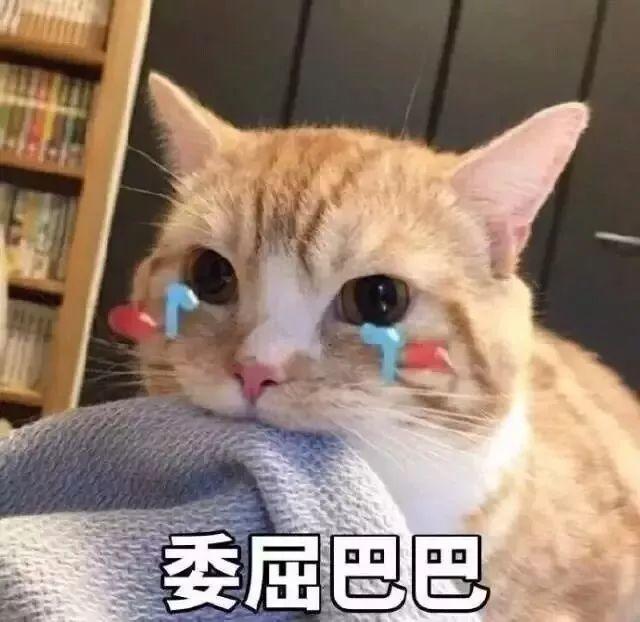 东莞台风预警升级！预计今晚登陆！9级大风+大暴雨！