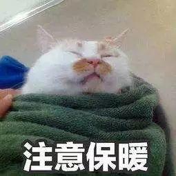 冷冷冷！东莞气温直降10℃！冷空气持续加码！今晚还有这个看……